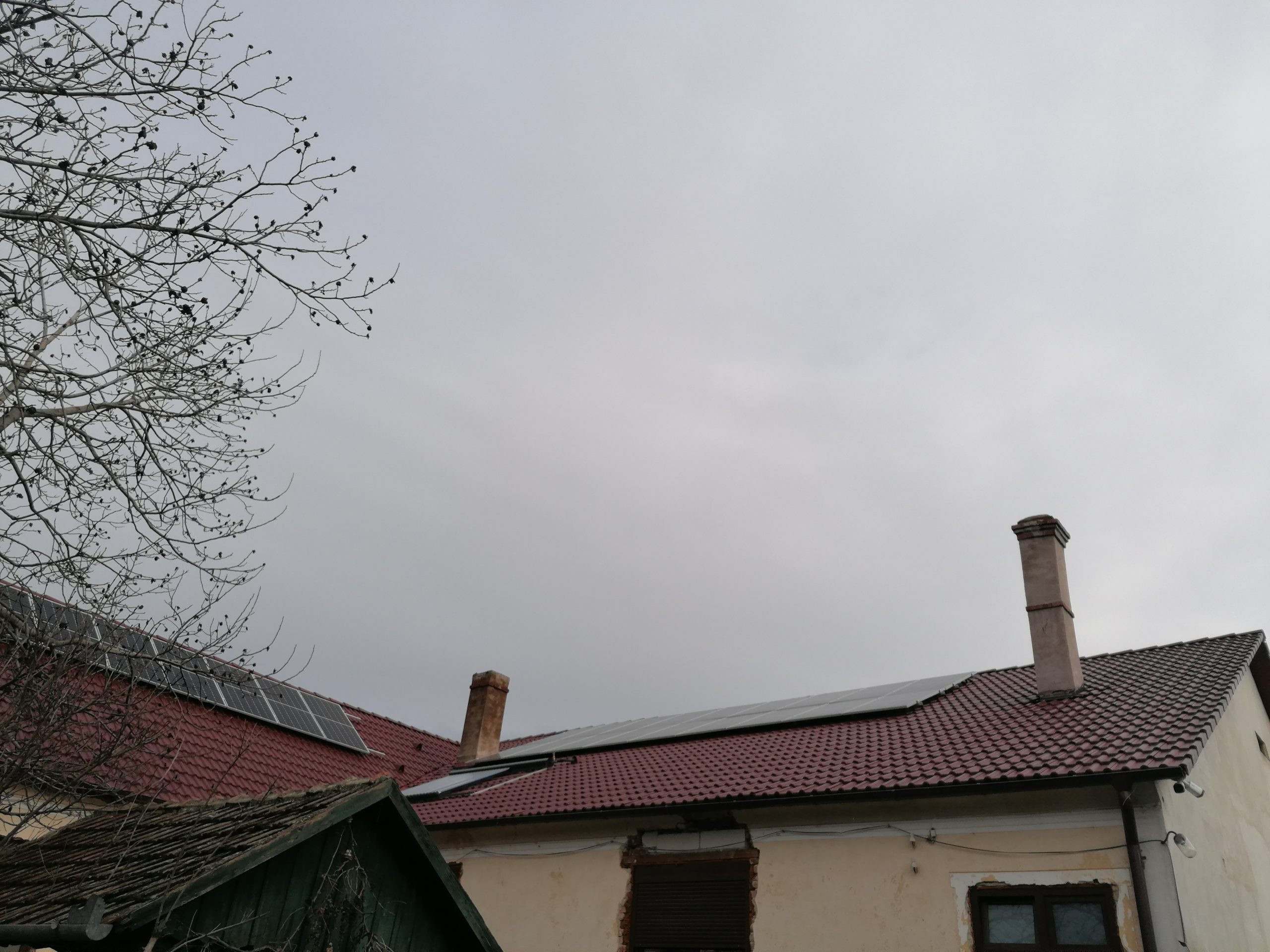 IMG_20221209_140331